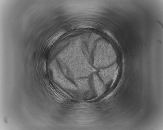 X0000099530777200806131126