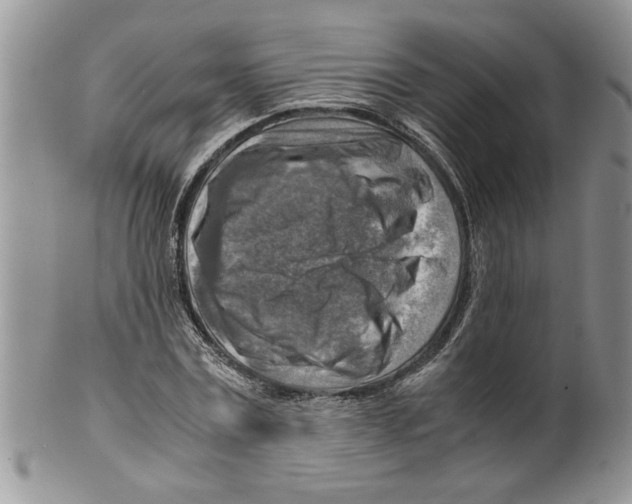 X0000099530779200806131126