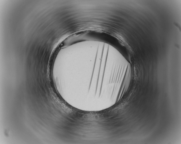 X0000099530780200806131126