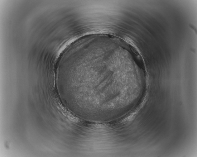 X0000099530781200806131126