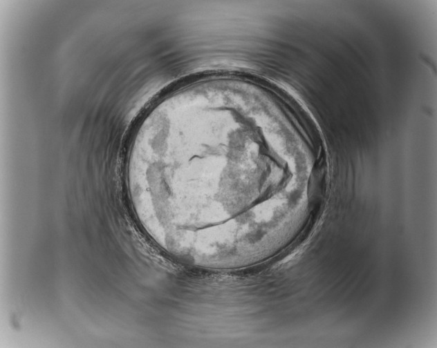 X0000099530783200806131126