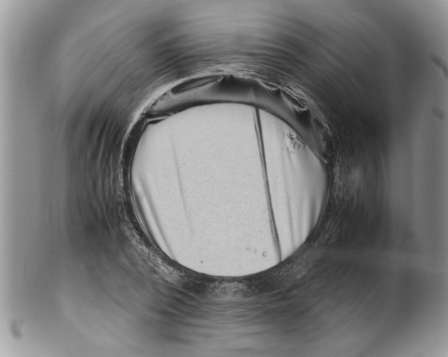 X0000099530784200806131126