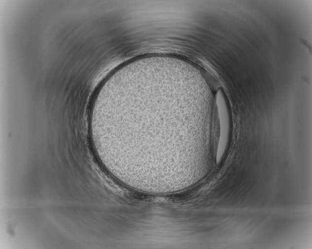 X0000099530787200806131126