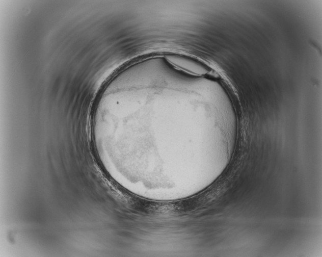 X0000099530791200806131126