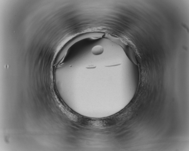 X0000099530792200806131126