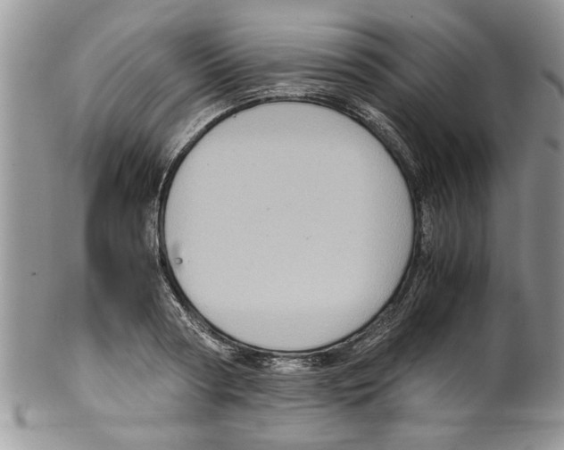 X0000099530794200806131126