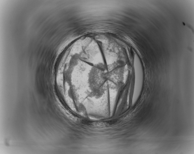 X0000099530795200806131126