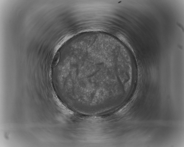 X0000099530797200806131126