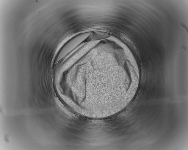 X0000099530800200806131126