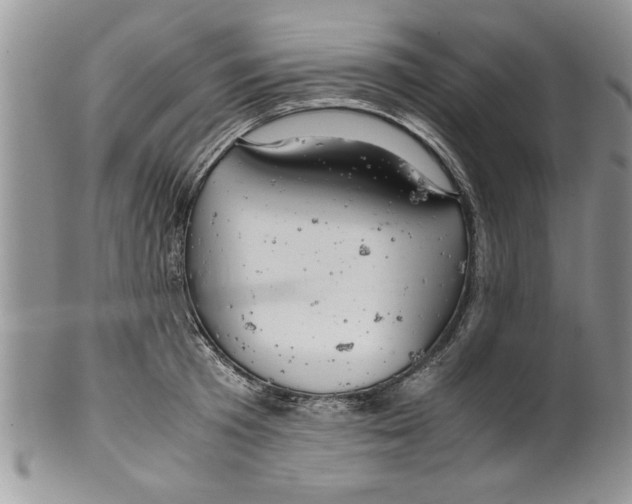 X0000099530801200806131126