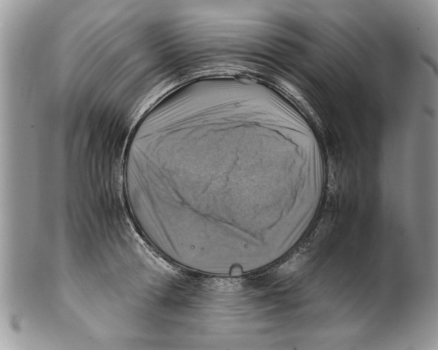 X0000099530802200806131126