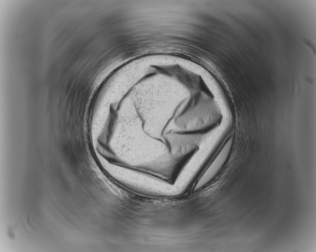 X0000099530803200806131126