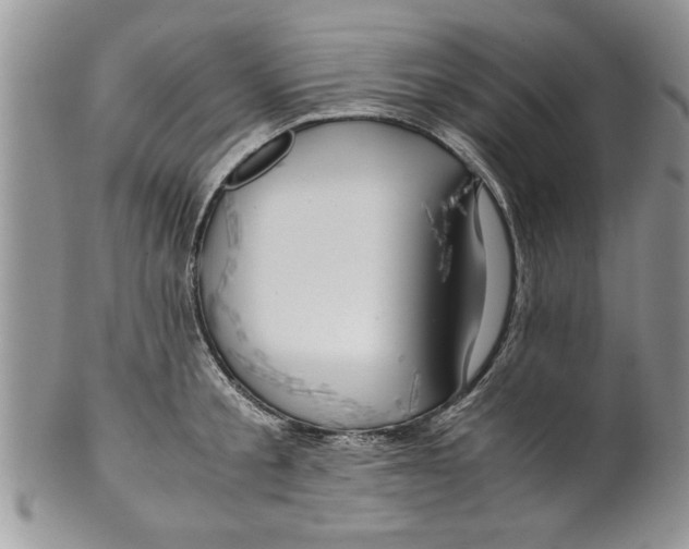 X0000099530805200806131126