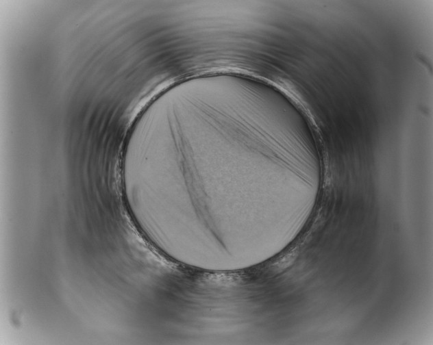 X0000099530806200806131126