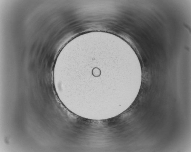 X0000099530807200806131126