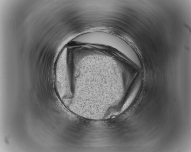 X0000099530808200806131126