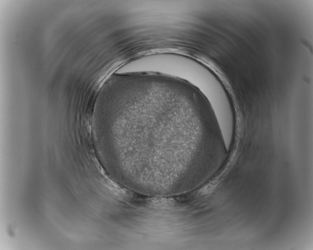 X0000099530809200806131126