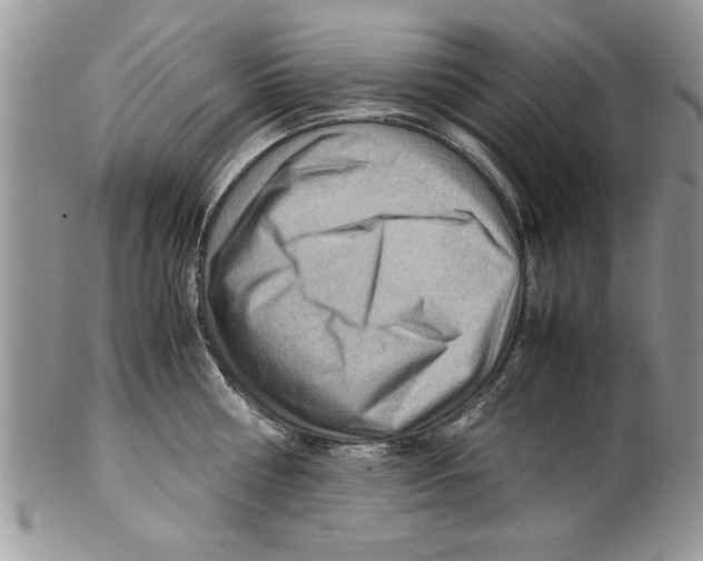 X0000099530810200806131126