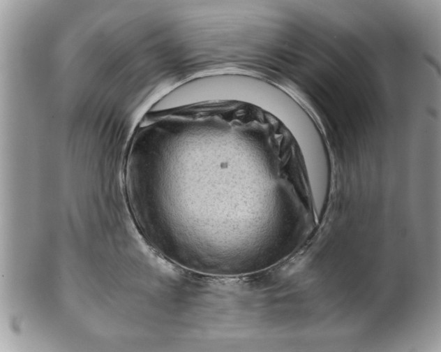 X0000099530813200806131126