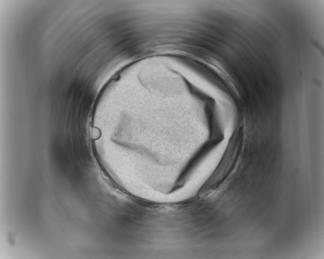 X0000099530814200806131126