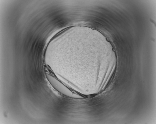 X0000099530816200806131126