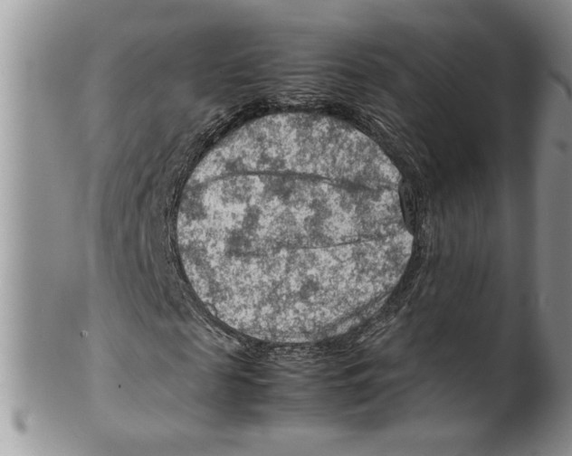 X0000099530817200806131125