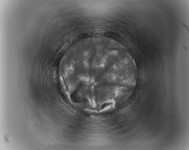 X0000099530818200806131125