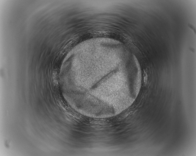 X0000099530819200806131125