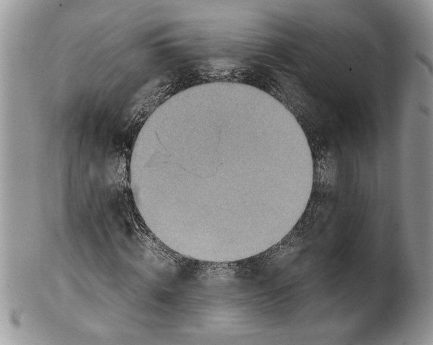 X0000099530820200806131125