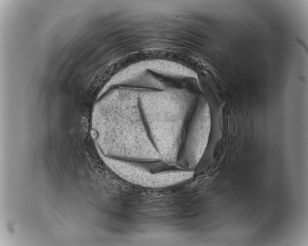 X0000099530821200806131125