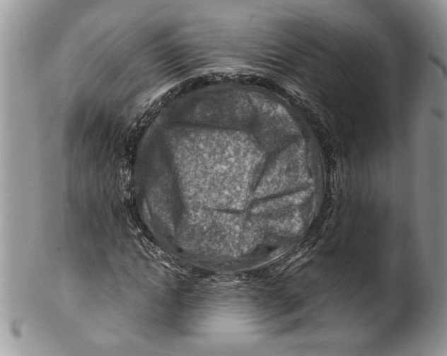 X0000099530822200806131125