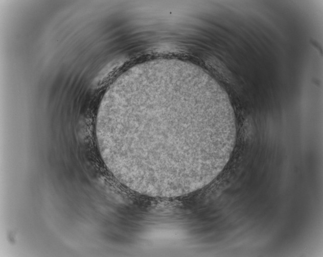 X0000099530824200806131125