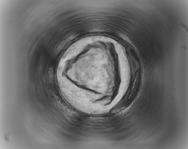 X0000099530825200806131125