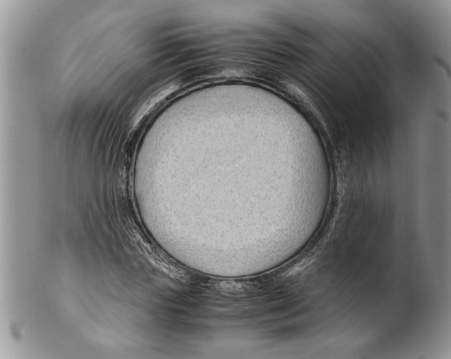 X0000099530827200806131125