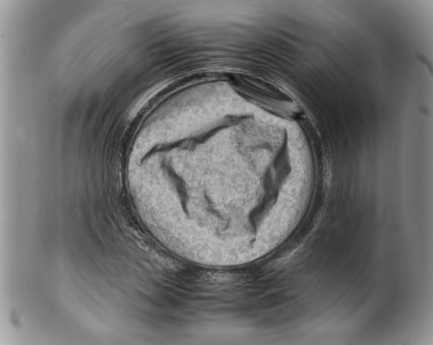 X0000099530829200806131125