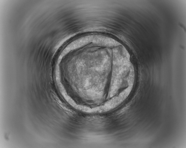 X0000099530830200806131125