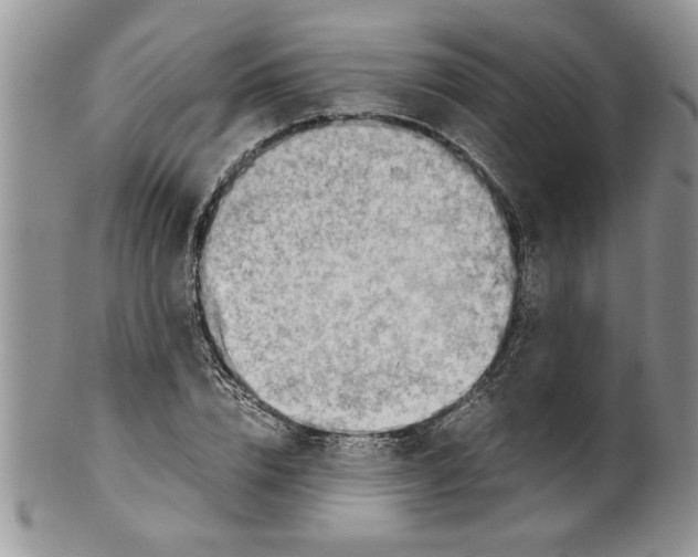 X0000099530832200806131125