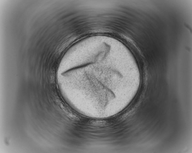 X0000099530833200806131125