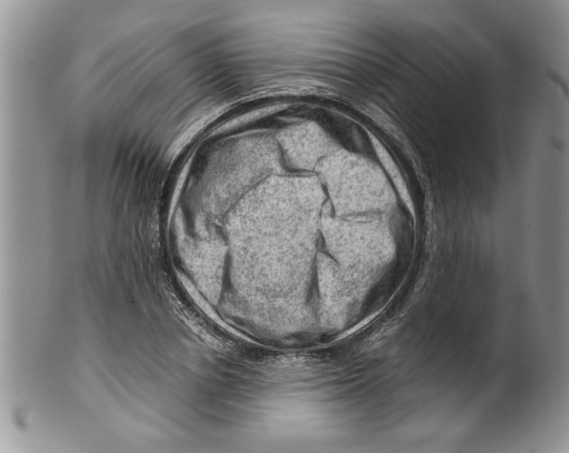 X0000099530834200806131125