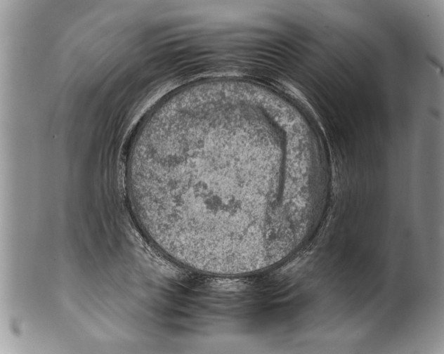 X0000099530835200806131125