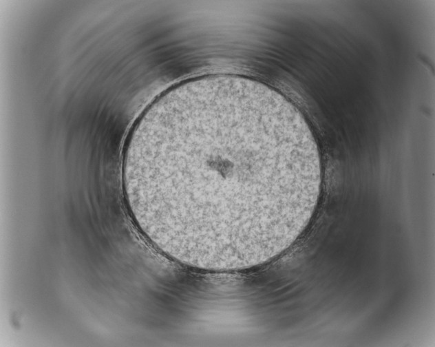 X0000099530836200806131125