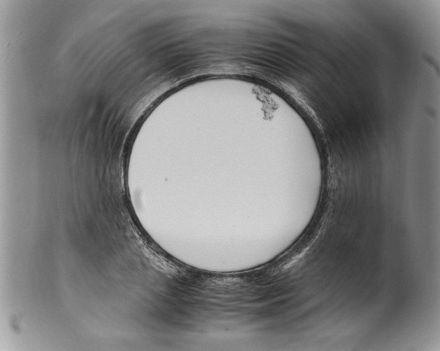 X0000099530837200806131125