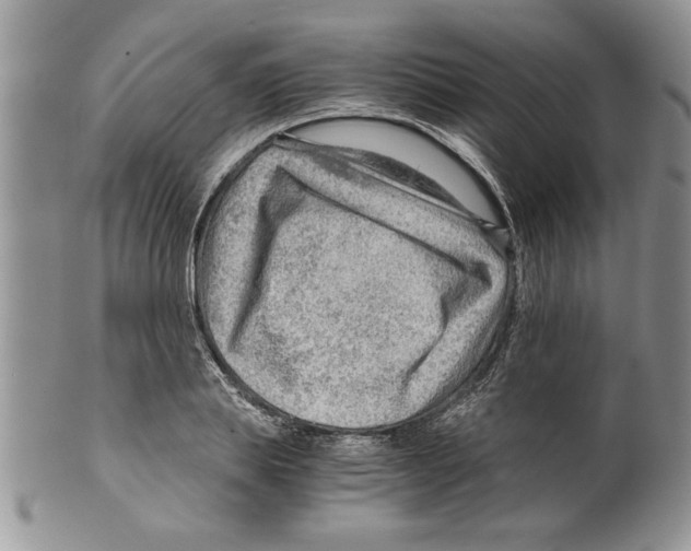 X0000099530839200806131125