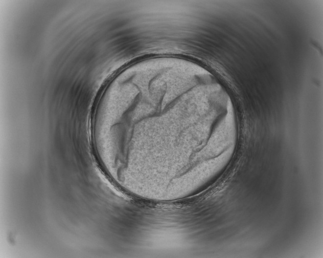 X0000099530840200806131125