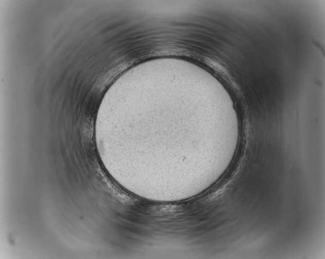 X0000099530841200806131125