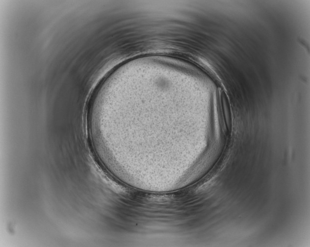 X0000099530843200806131126