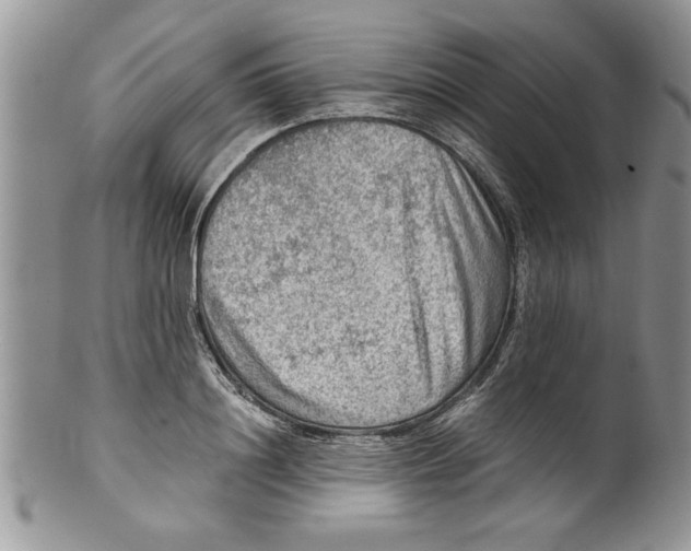 X0000099530844200806131126