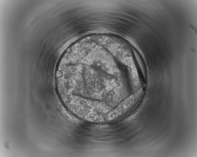 X0000099530845200806131126