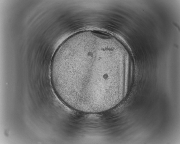 X0000099530847200806131126