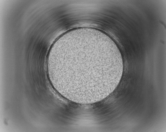 X0000099530848200806131126